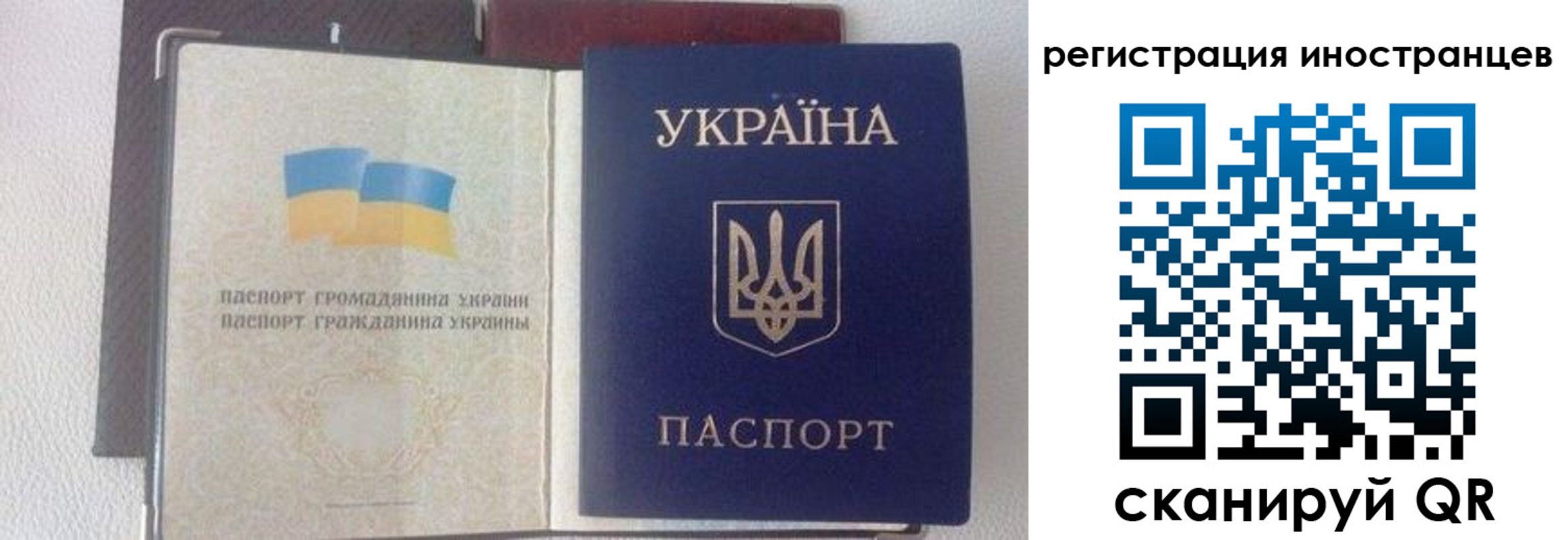 прописка от собственника в Калининграде